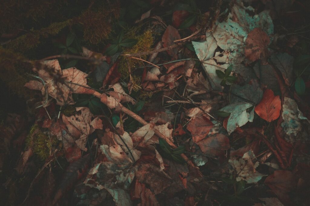 Photo Rich burgundy