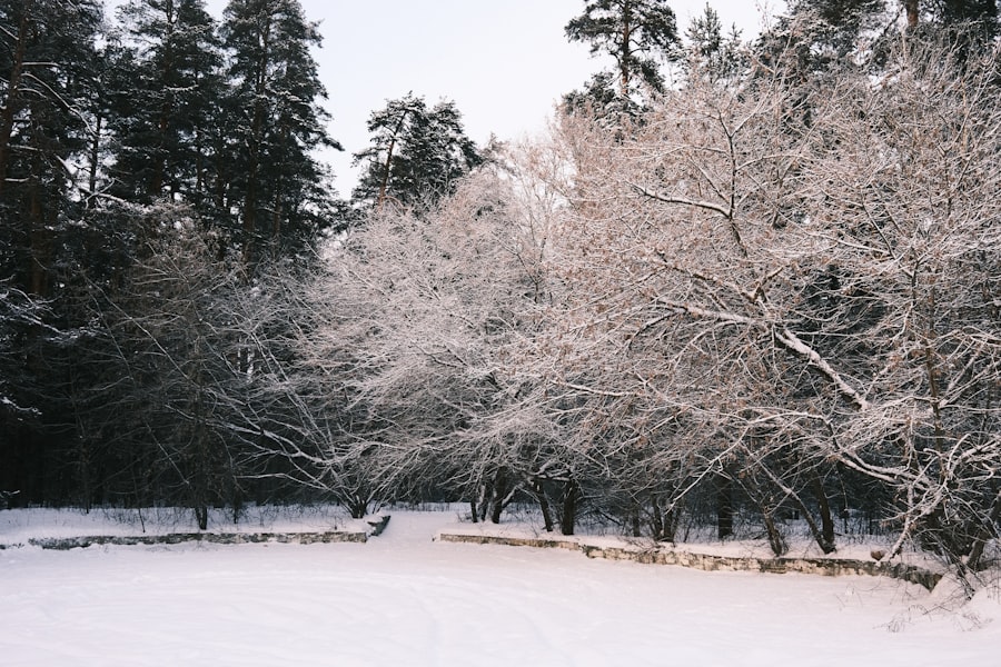 winterjas
