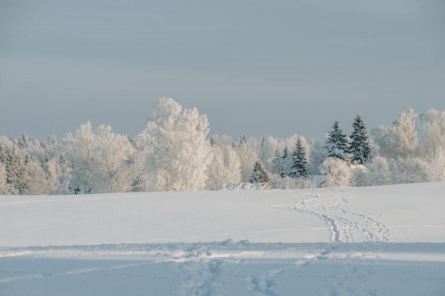 Photo winterjas