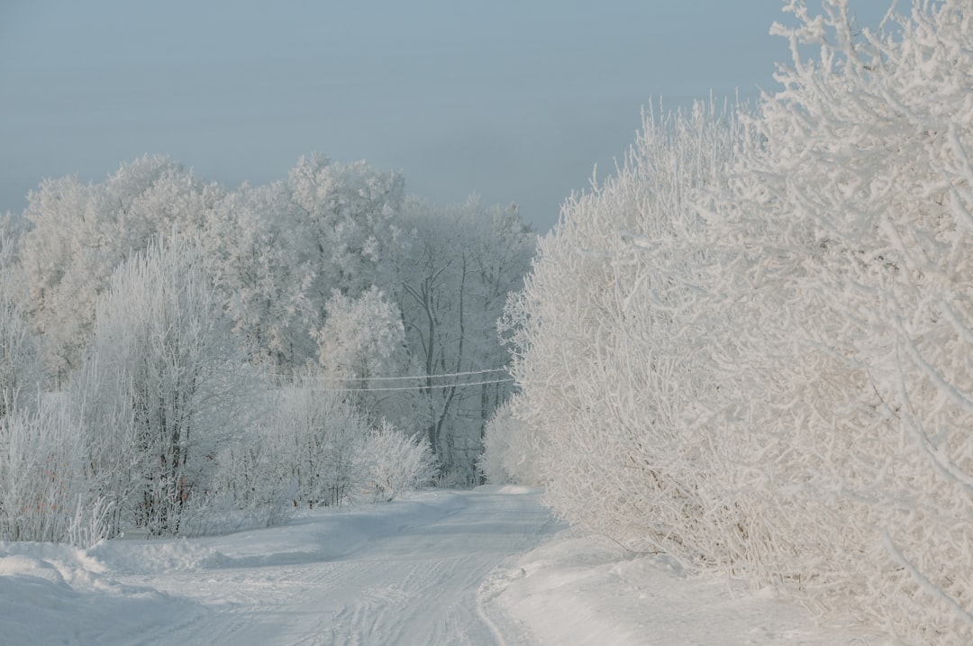 Photo winterjas
